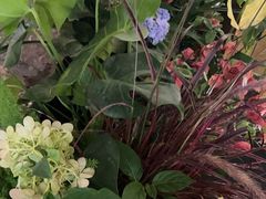 -木王宴语·野生鲜菌火锅(玉河店)