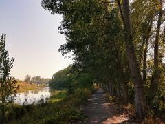 -东郊湿地公园