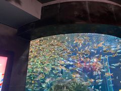 -海合安成都极地海洋公园