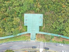 -老山国家森林公园