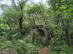 -青龙山国家森林公园
