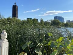 -西海子公园
