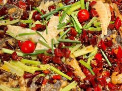 -老板恋上鱼(恒隆广场店)