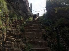 -吉林拉法山