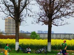 -汉长安城未央宫国家考古遗址公园