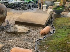 -双季花艺园艺市场(浦东店)