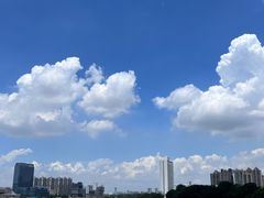 -洲头咀公园