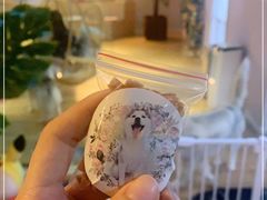 -Husky Go! 哈士奇体验馆·宠物咖啡厅狗咖