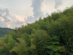 -罗田天堂寨风景区
