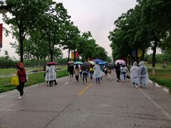 -大明宫国家遗址公园·御道广场