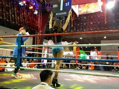 -东浩兰生上海世博展览馆