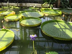 -国家植物园南园