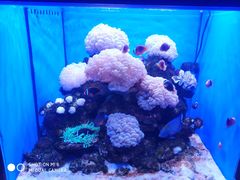 -多彩贵州城极地海洋世界