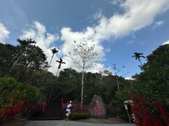 -七仙岭温泉国家森林公园
