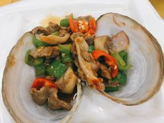 象拔蚌中-春园海鲜广场D区6号(钟姐海鲜加工店)