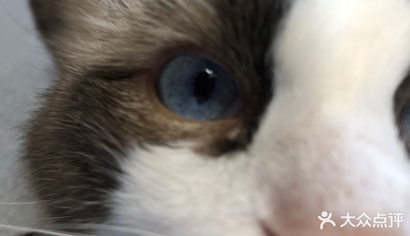 臭脸大哥/臭脸小妹，其实巨粘人