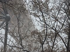 -少华山国家森林公园