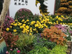 -莲湖公园