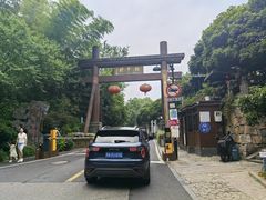 -阿巧茶庄