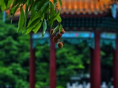 -西禅古寺售票处