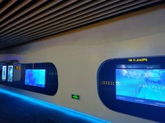 -奥斯卡升龙国际影城(RealD Cinema)