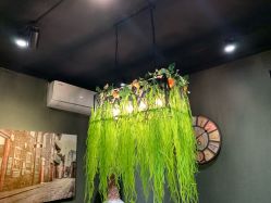 -藤野造型·专业烫染店