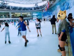 -世界之窗阿尔卑斯冰雪世界