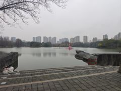 -青枫公园