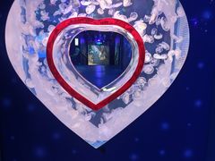 -多彩贵州城极地海洋世界