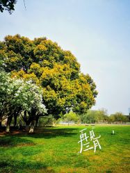 -玄武湖景区-情侣园游乐场