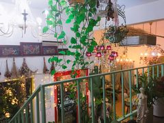 -Jo's Garden