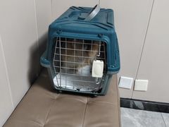 -半岛宠物医院24小时·内窥镜·牙科·碎石中心(府城大道店)