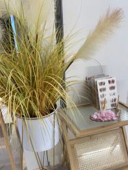 -MONICABOX美甲美睫