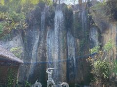 -西双版纳原始森林公园