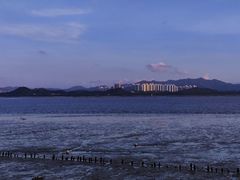 -深圳湾公园(南山区)