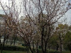 -尚贤河湿地
