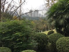 -龙头寺公园