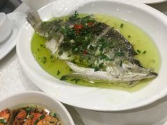 -苔圣园酒家(尊木汇国际艺术广场店)