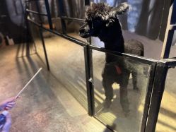 -酷嗒动物文化乐园(cutezoo西溪乐天城店)