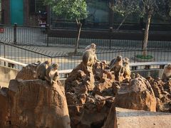 -昆明动物园