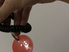 -艺林盲人按摩院(长寿店)