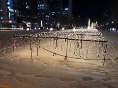 -大通公园