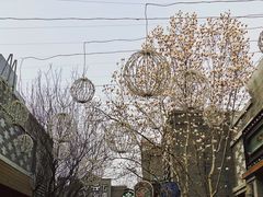 -龙湖星悦荟(颐和店)