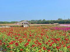 -江苏三台山国家森林公园