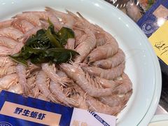 -蓝珊瑚蒸汽海鲜餐厅(龙奥店)