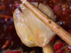 -黄潇洒老火锅(九眼桥宏济巷店)