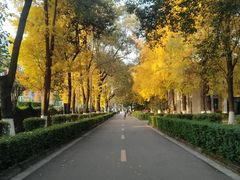 -四川大学(华西校区)