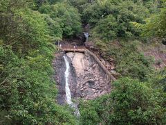 -广州白江湖森林公园