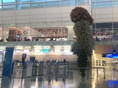 -达拉斯 沃斯堡国际机场