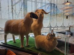 -百草滩羊清水涮羊肉·清真·宁夏盐池滩羊(莲花桥店)
